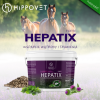 HIPPOVET PHARMACY HEPATIX FORTE Regeneracja wątroby 3kg
